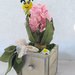 Cassetto shabby con fiore giacinto rosa e una graziosa ape svolazzante