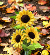 Girasoli fatti all’uncinetto 