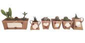 COLLEZIONE  6 VASI SHABBY CHIC  CON ROSE   VASI IN TERRACOTTA SHABBY CHIC 