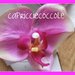 clip per scarpe orchidea calzature