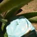Sapone Spa Fango Verde Aloe Vera e Oli essenziali di Litsea Cubea