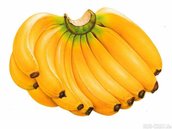 Schema " Banane"2