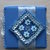 ART.156-PICCOLI FIORI AZZURRI-