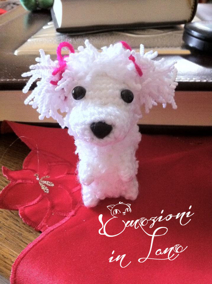 Barboncino Toy Miniature Bianco - In Vendita A Roma - Foto 9