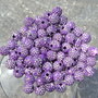 20 perle VIOLA sparkling effetto strass in lucite