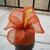 fiore-ibiscus