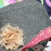 Cappello bambina in lana con fiore chiffon e interno in stoffa