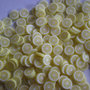 130 Fettine Limone da Polymer Clay Canes