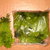 Lichene verde 50 grammi