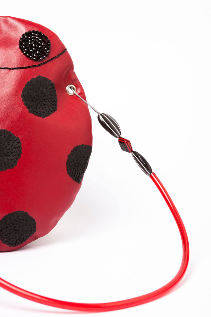coccinella nera coccinella nera