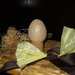pearl egg