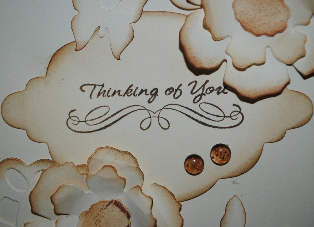 Biglietto D'Auguri Qualità 'Thinking Of You' Con Piselli Dolci Disegnati A Mano - FSC Recyclable - 3