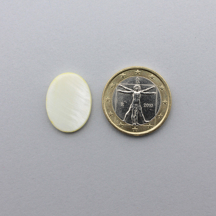 Perle Conchiglia Per Il Fai Da Te Per Hobby Creativi