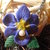  collana orchidea blu (pezzo unico)