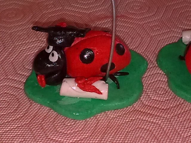 10 Bomboniere Laurea A Forma Di Cono Con Coccinella In Legno E Bigliettino Personalizzato