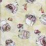 TESSUTI AMERICANI STOFFE COTONE PATCHWORK QUILTING APPLICAZIONI BEATRIX POTTER