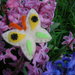 Farfalla fermacapelli/spilla