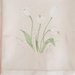 Asciugamani dipinti - Tulipani