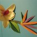 Mazzolino orchidea e sterlitzia in fantasy flower