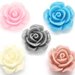 5 rose in resina 14x6 mm colori mix base piatta senza foro  sc