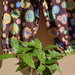 pantaloni  bambina colore marrone con fiori multicolore in cotone fatti  mano