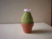 Cactus all'uncinetto Cactus all'uncinetto