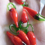 25 Perline Peperoncino in vetro