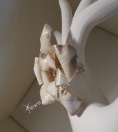 Anello con fiore helleborus white Sospeso Trasparente