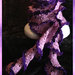 Sciarpa in cotone lilla e viola
