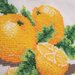 Copriforno con arance