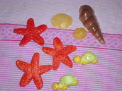 stelle marine in fimo
