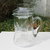 Caraffa in vetro lavorato con porta ghiaccio