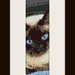 PDF schema bracciale gattino1 in stitch peyote pattern - solo per uso personale 