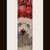 PDF schema bracciale dog in stitch peyote pattern - solo per uso personale 