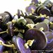 Collana "deep purple" in cocco viola e puro lino
