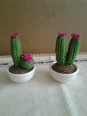 cactus uncinetto