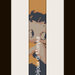 schema bracciale Betty Boop in stitch peyote ( 2 drop ) pattern - solo per uso personale