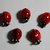 5 coccinelle in vetro di murano. 5 ladybugs in glass Murano.