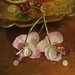 Creole con orchidea e ciondoli - Lupita