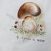 Grembiule dipinto - Tema castagne e funghi