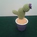 cactus uncinetto amigurumi
