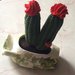 Cactus in anfora decoupage