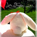 Il coniglietto di Pasqua!