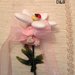 Margherita con confetti  confezionata con il cuore rosa in pasta di mais
