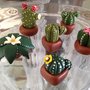 Segnaposto cactus