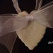 Margherita  con confetti e cuore bianco  in pasta di mais. ,per una prima Comunione
