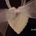 Margherita  con confetti e cuore bianco  in pasta di mais. ,per una prima Comunione