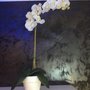 vaso con orchidea