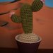 cactus uncinetto 