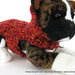 Red Fall Dog - cappottino a crochet uncinetto per cani o gatti Xsmall 